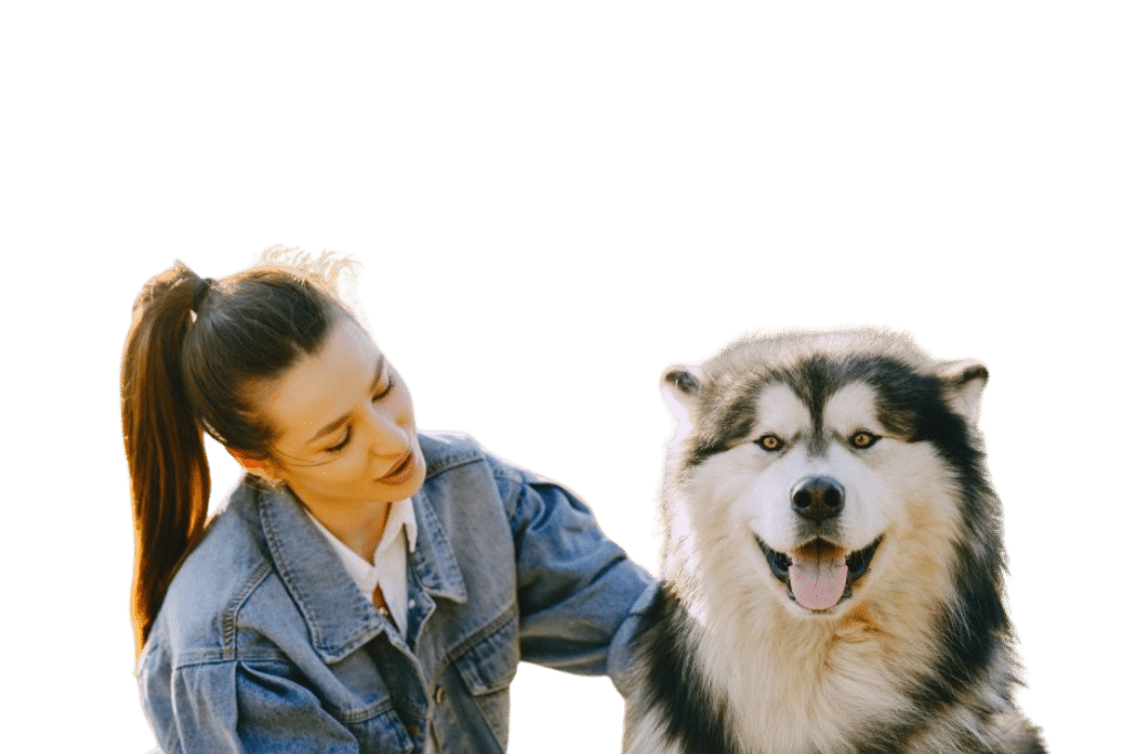 prendre soin de son chien