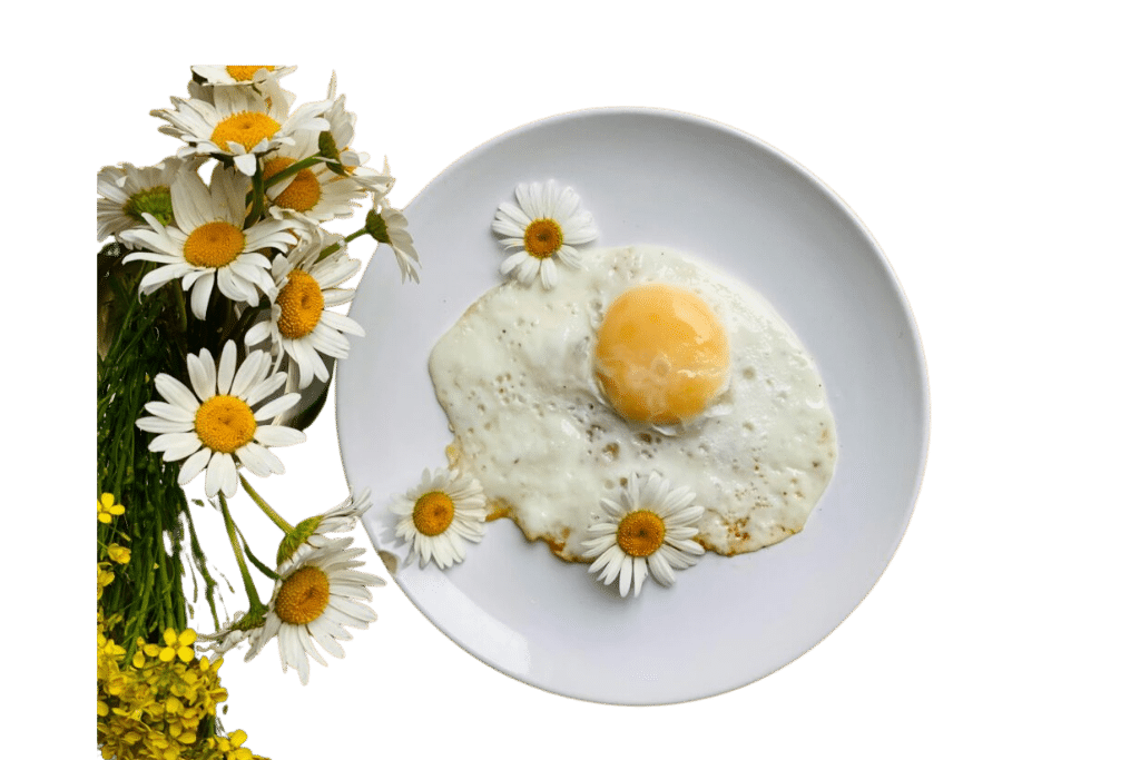 l’alimentation contribue au bonheur