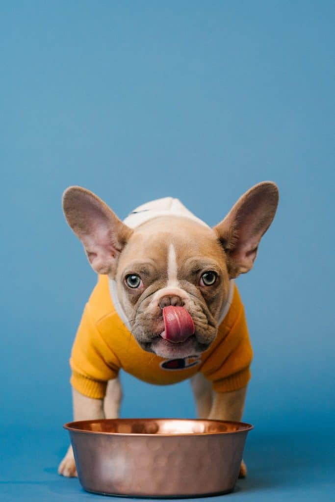 karsten-winegeart-pQVecS8pBNY-unsplash-edited-1-683x1024