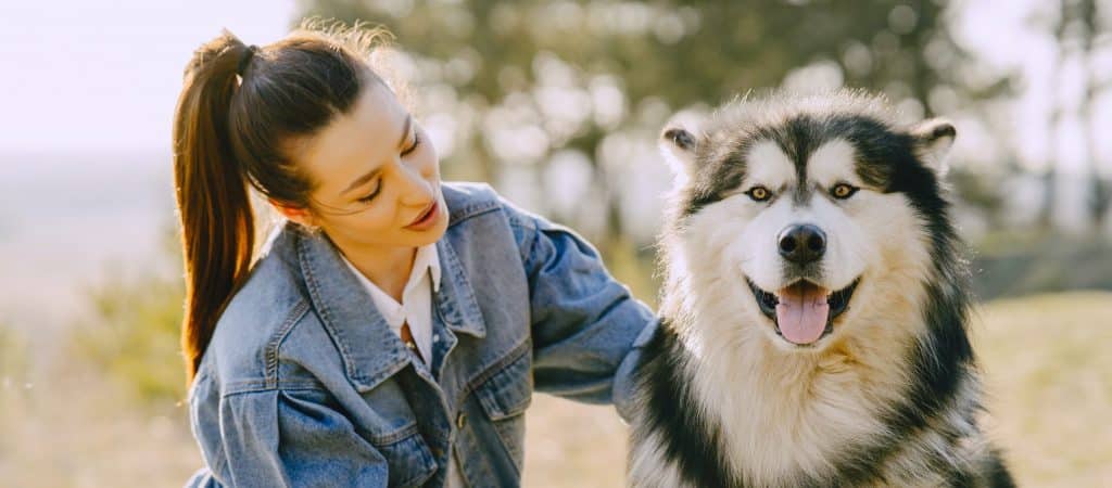 pexels-gustavo-fring-4148879-scaled-e1690972124386-1024x450