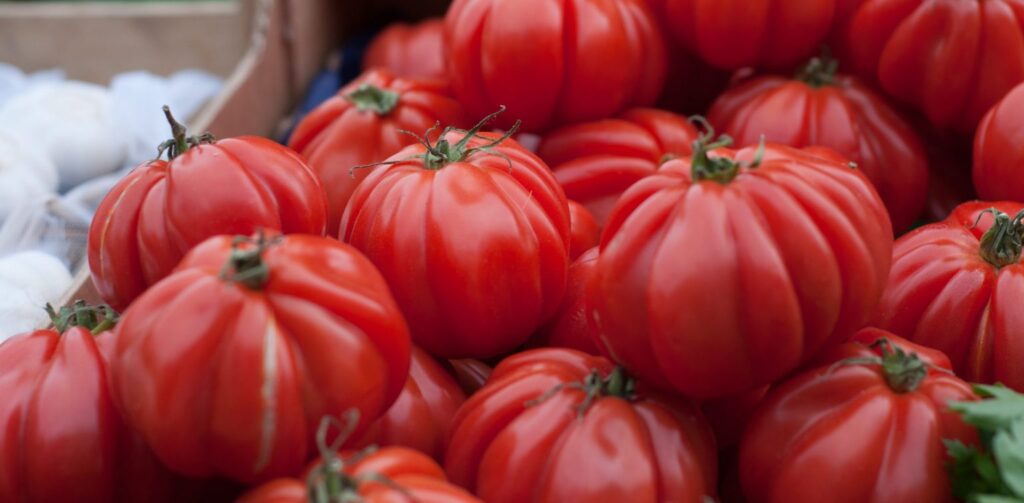 pexels-mali-maeder-42164-scaled-e1688454876665-1536x754