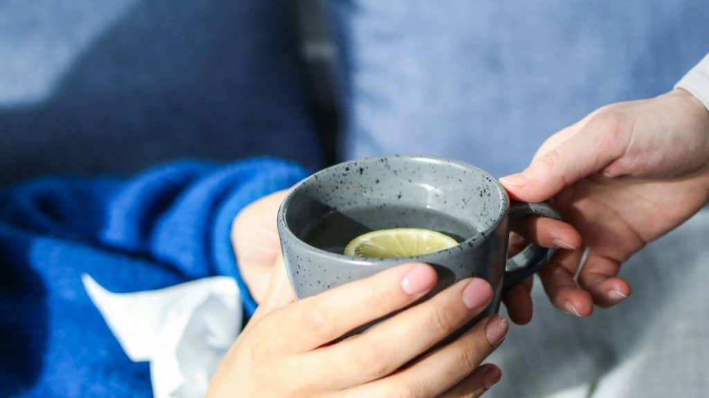 pexels-polina-tankilevitch-3873180-1-edited-1-1024x576