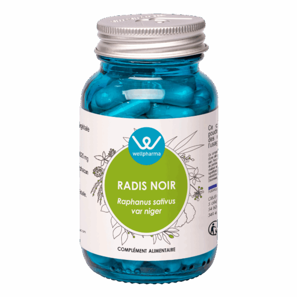 Radis noir
