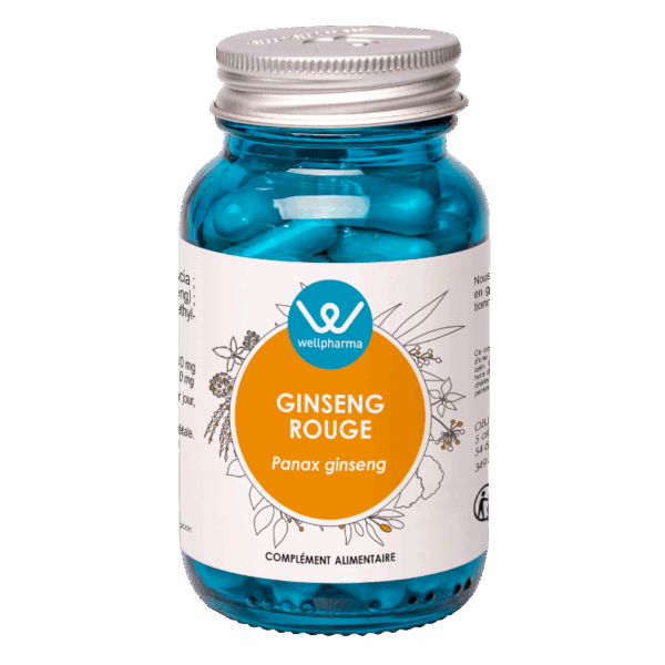 Ginseng rouge