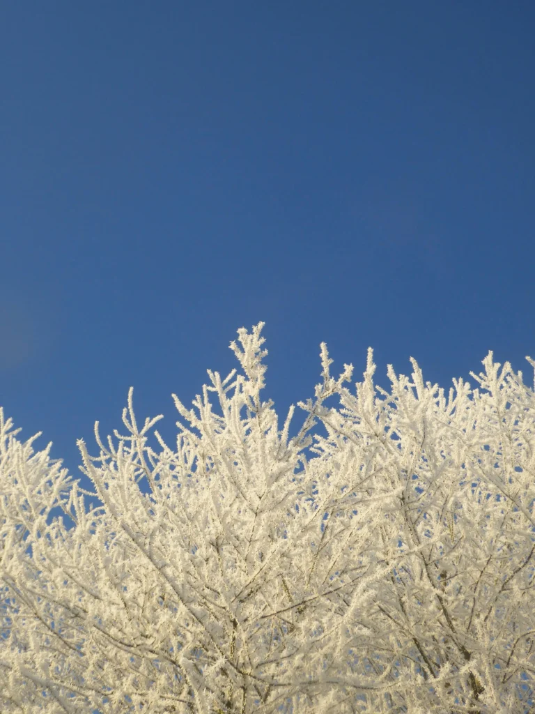 pexels-johanna-59968841-33927491