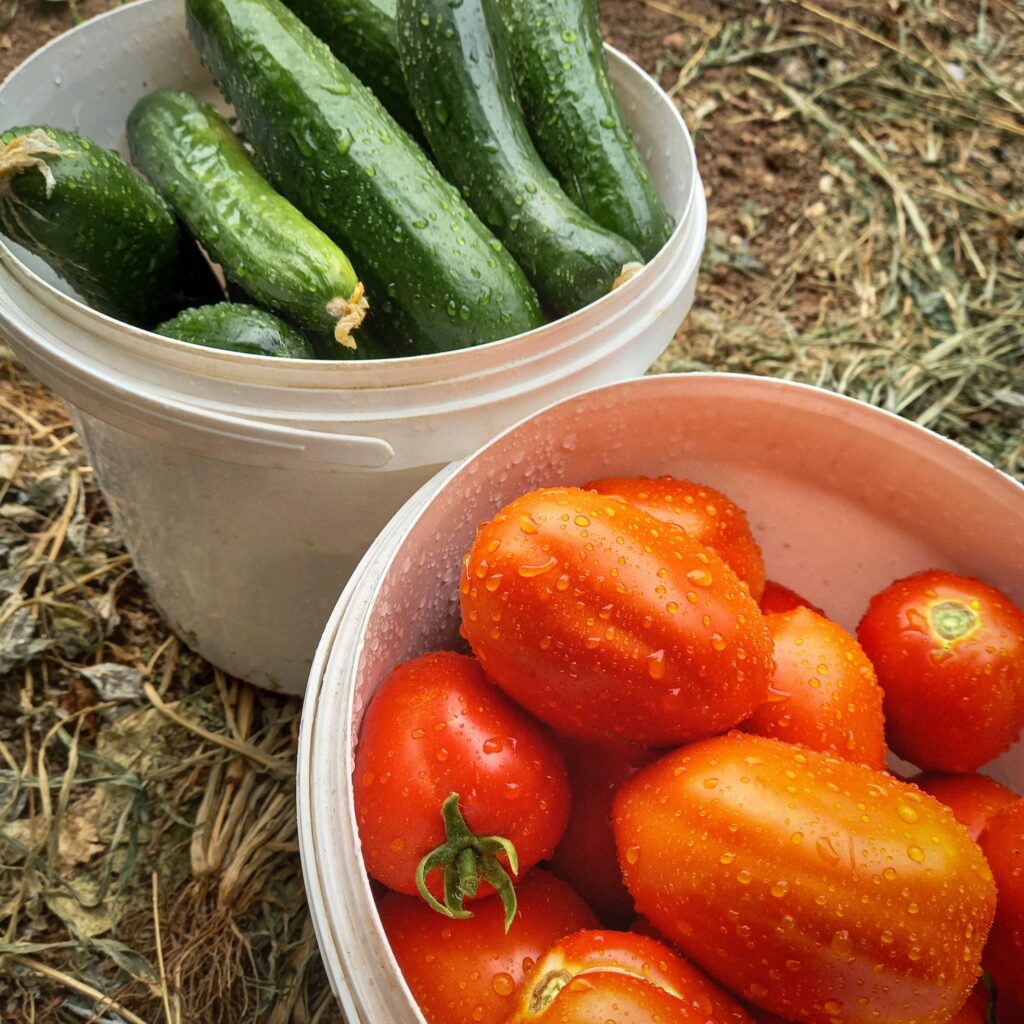 hydratation-legumes